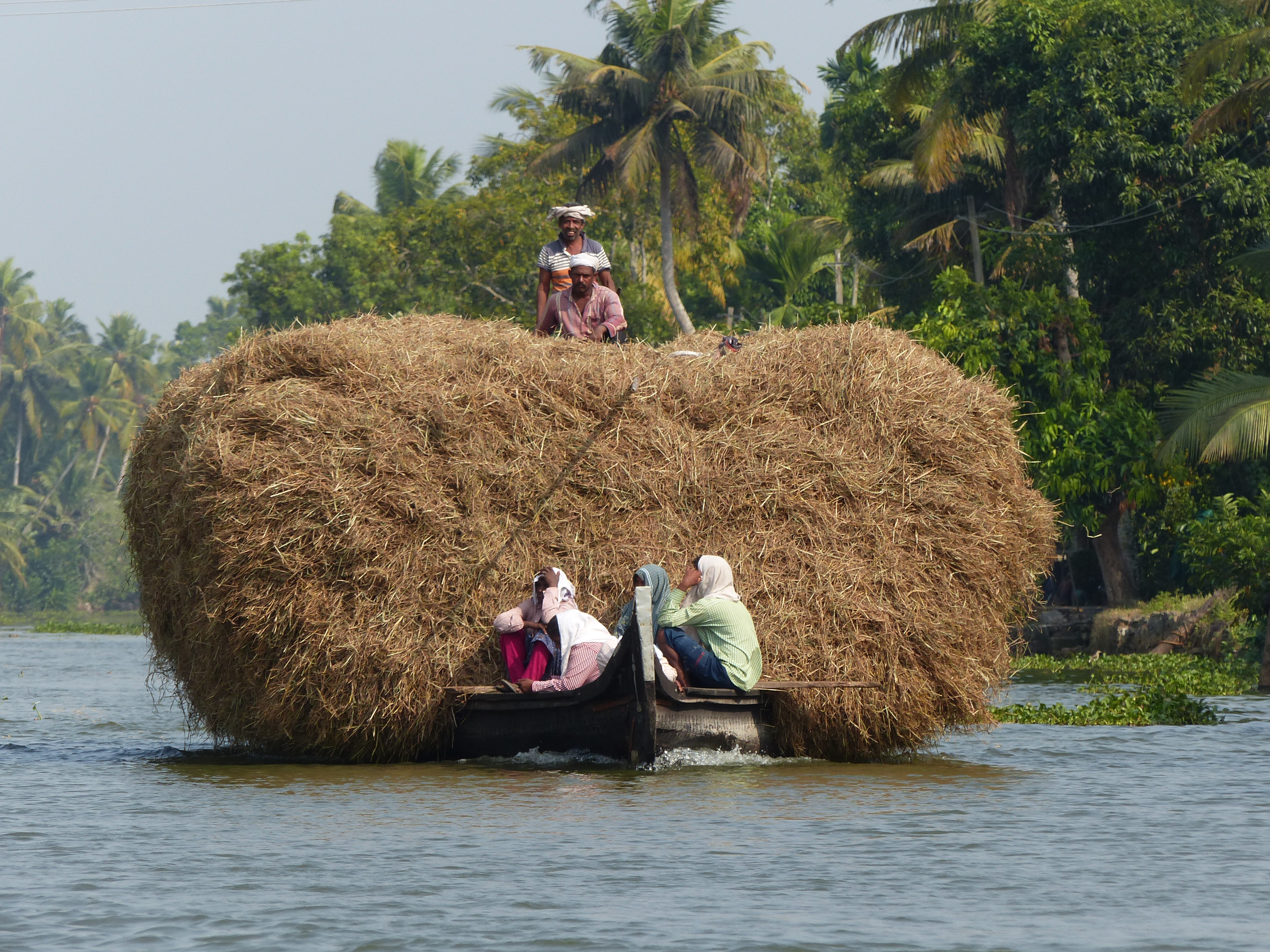 Transport sur les backwaters à Kumarakom Transport sur les backwaters à Kumarakom