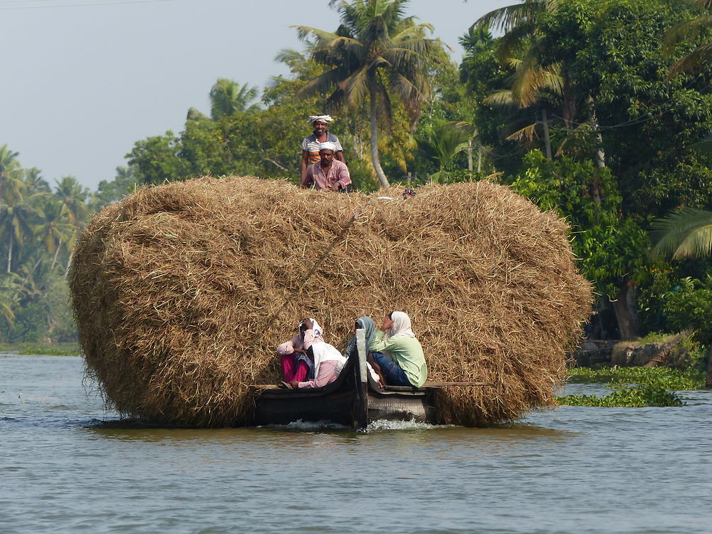 Transport sur les backwaters à Kumarakom