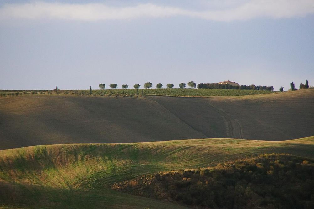 Crête à San Quirico d'Orcia