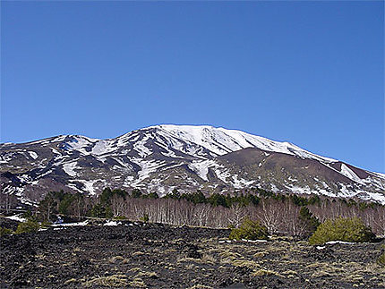 L'Etna et la forêt de bouleaux
