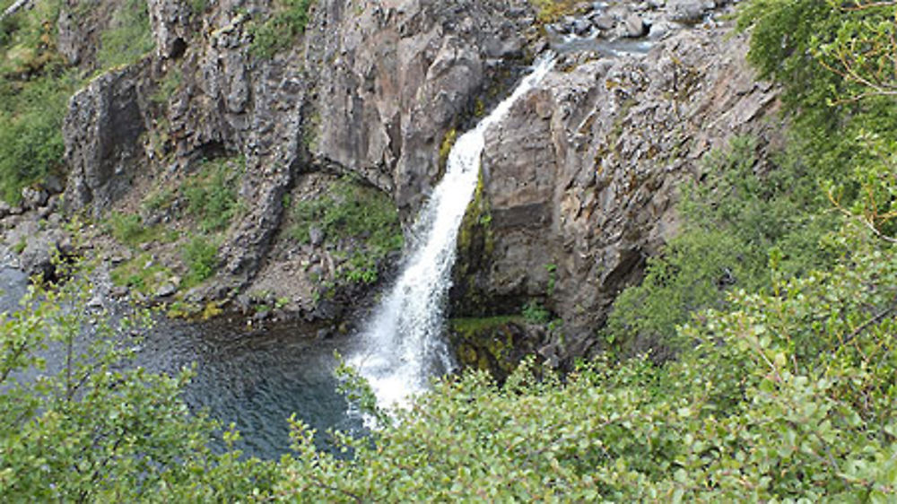 La chûte du chien (huntfoss)