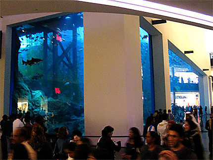 Aquarium dans le mall !!!