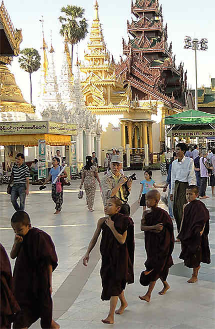 Shwedagon jeunes moines