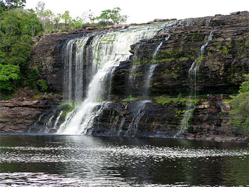 Le salto Sapo