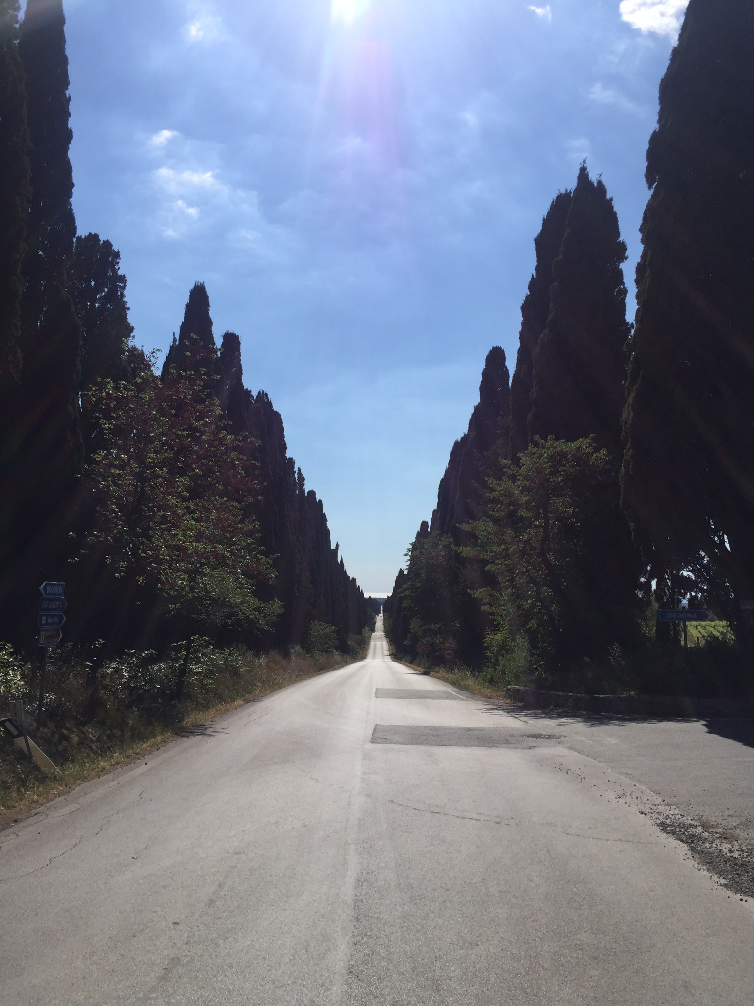 Belle route de cyprès en Toscane