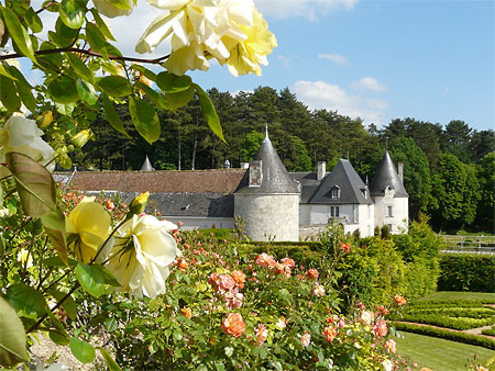 Château de la Chatonnière