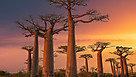 Madagascar