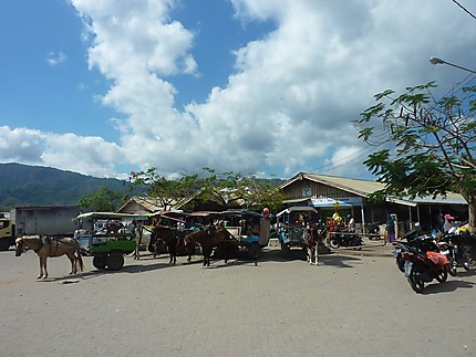 Maluk, le marché
