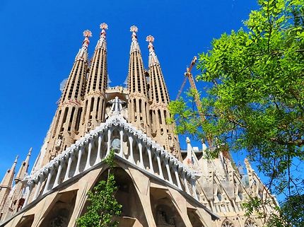 La Sagrada Família, vue d'un agréable parc