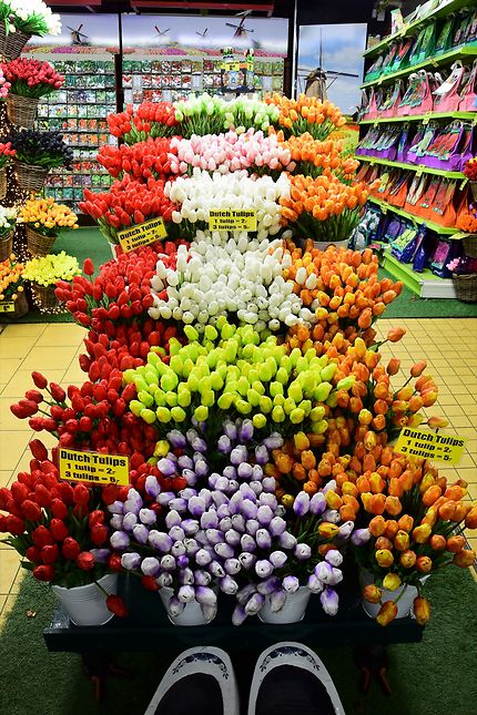 Le marché aux fleurs à Amsterdam