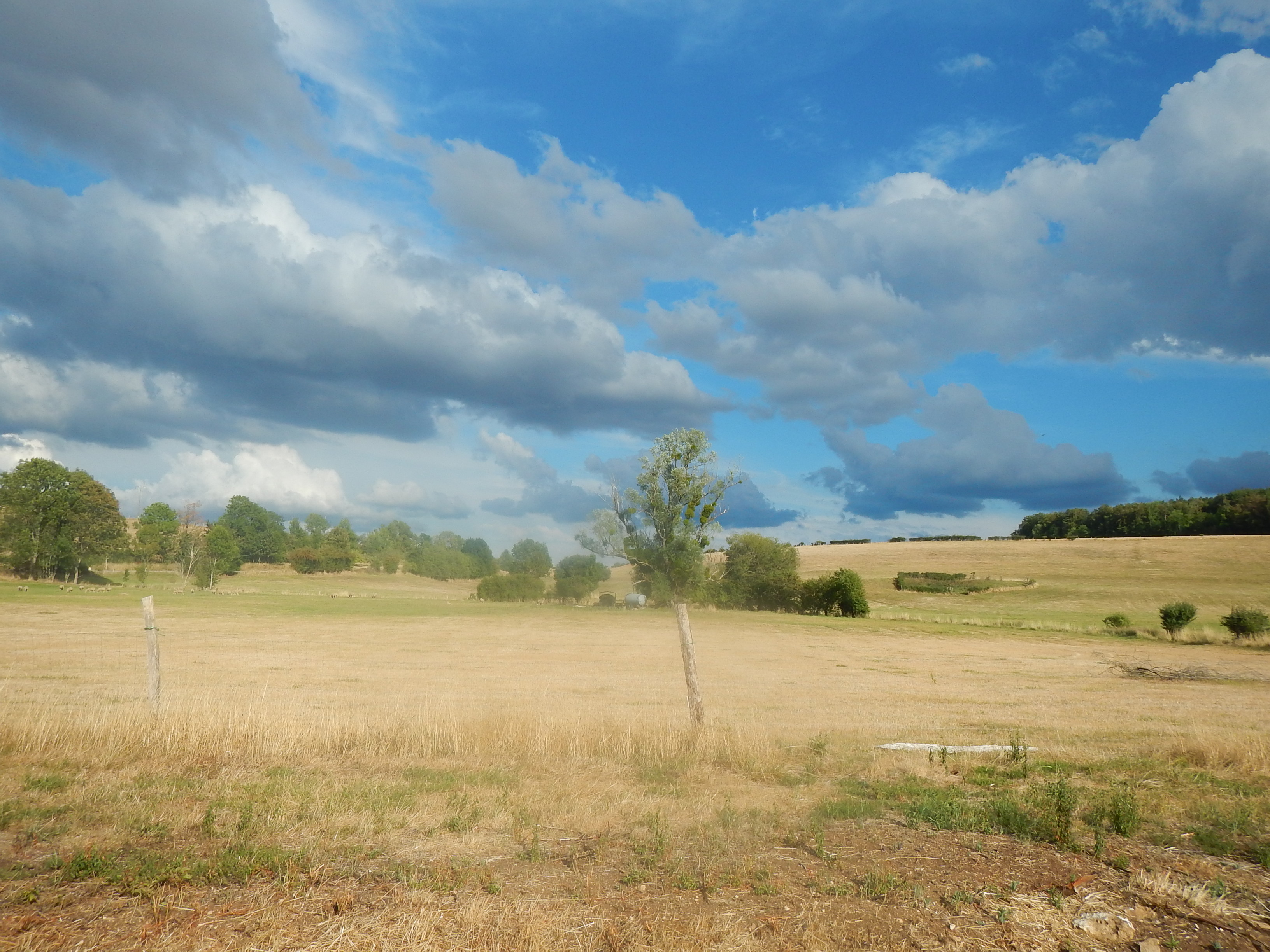 Campagne champenoise Campagne champenoise