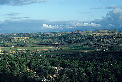 Vallée de la tafna