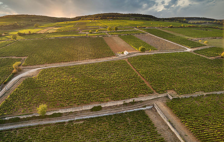 Déguster et acheter des vins à Beaune