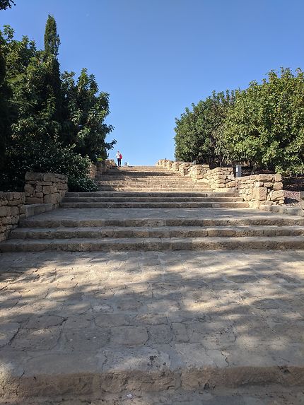 Montée des marches à Paphos