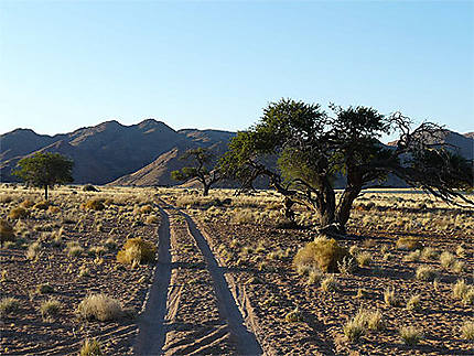 Promenade dans un ranch du sud Namib