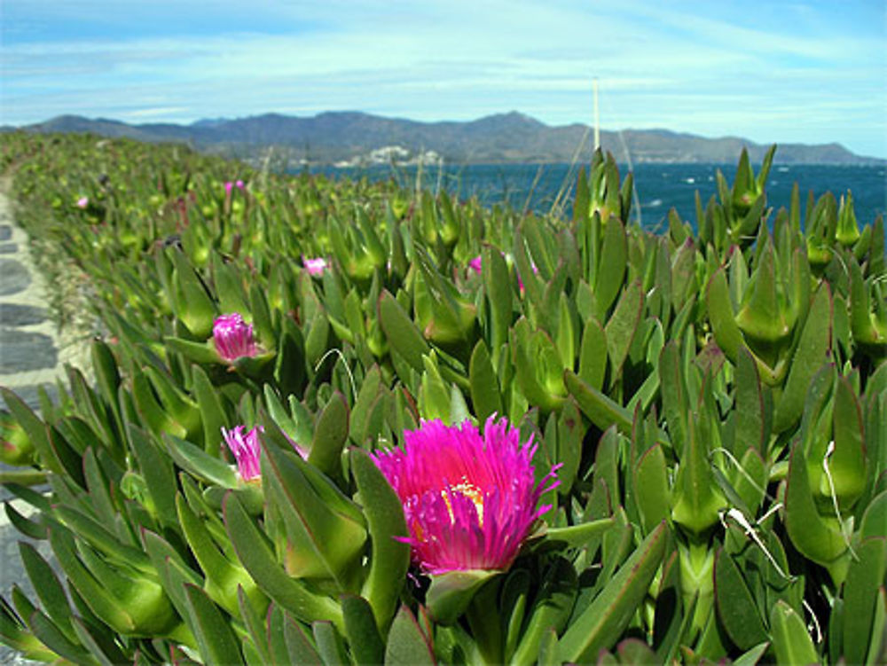 Vue depuis El Port de la Selva