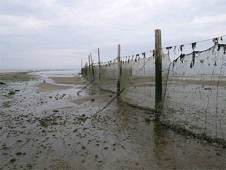 Plage à Saint-Irénée Plage à Saint-Irénée