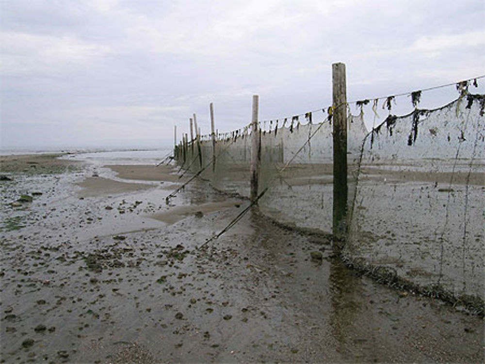 Plage à Saint-Irénée