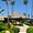 Photo hôtel Hotel Majestic Colonial Punta Cana