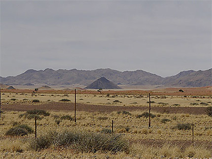 Panorama sauvage