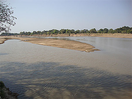 Rivière Luangwa