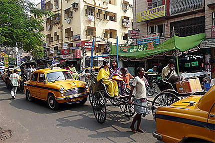 Hommes chevaux à Calcutta