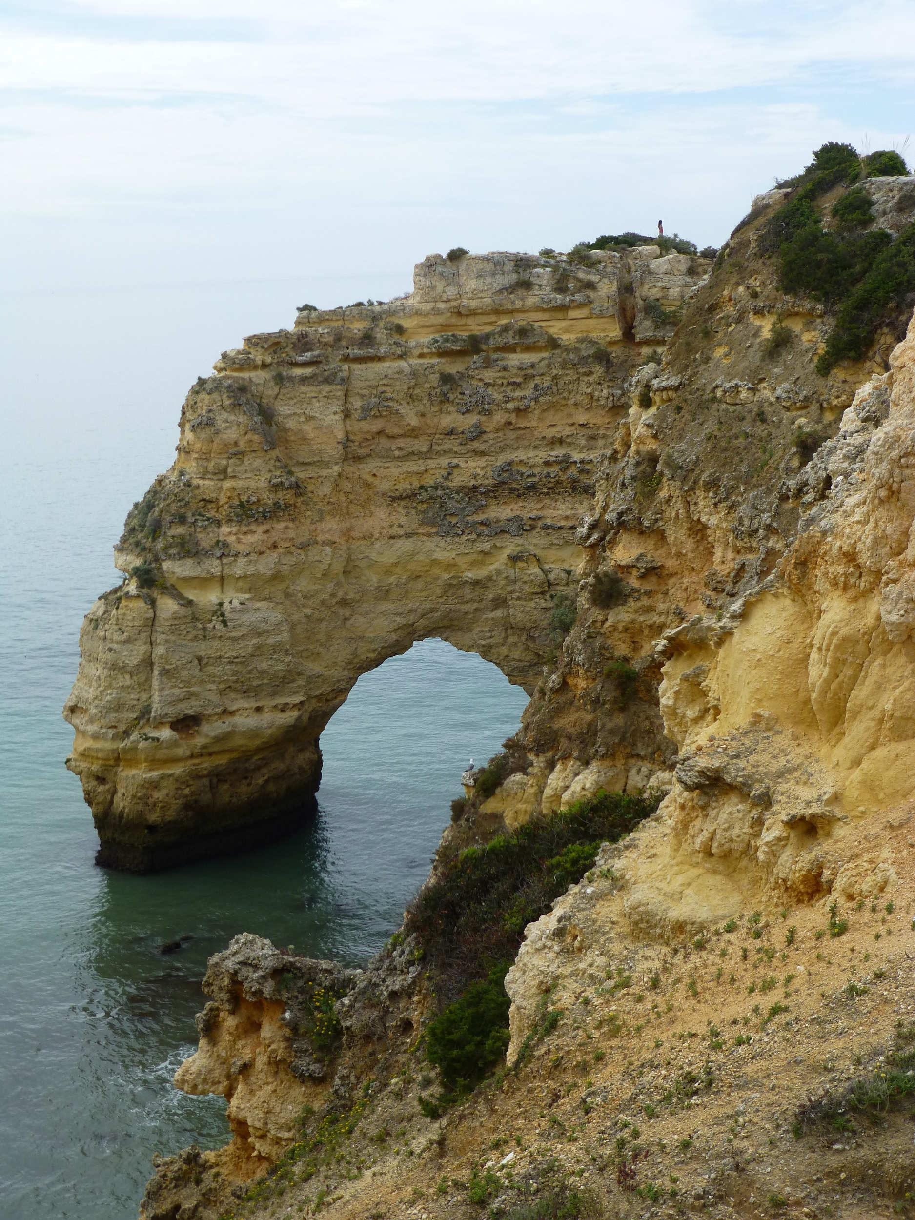 Arche portugaise Arche portugaise