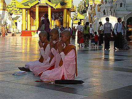 Bonzesses à la pagode Shwedagon