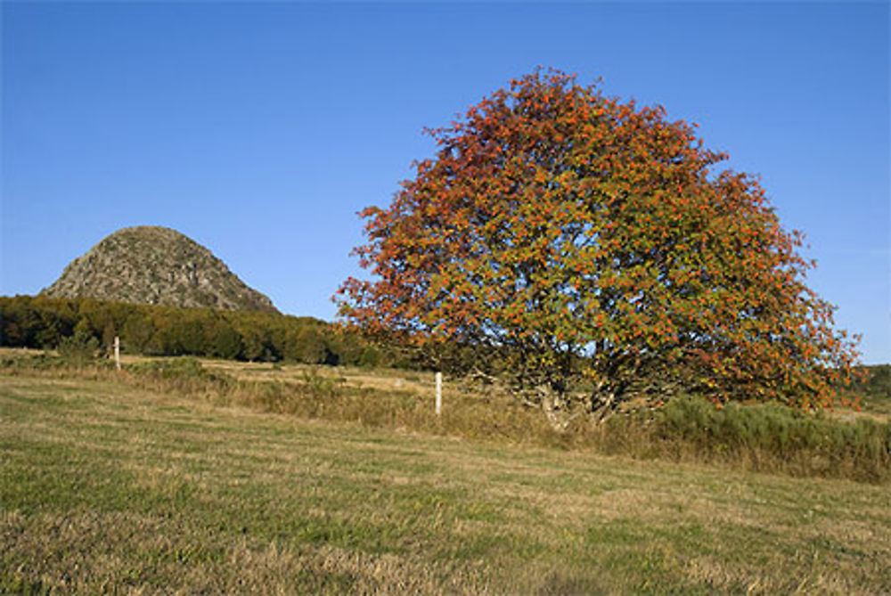 Automne au Mont Gerbier de jonc