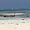 La plage de Pingwe, Zanzibar