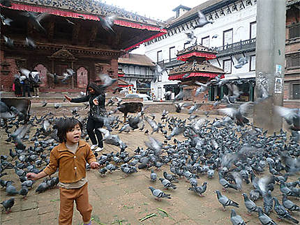 Envol de pigeons à Durbar Square