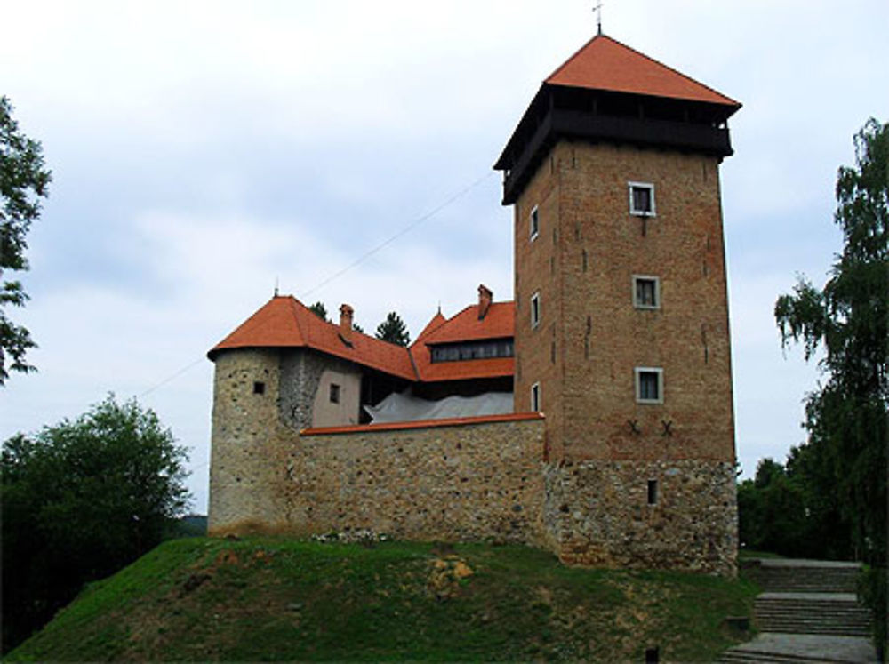 Château de Dubovac