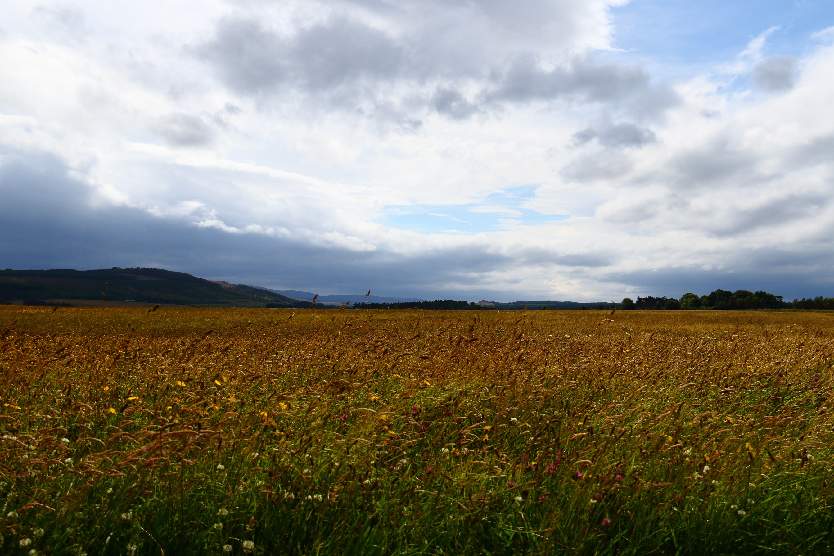 Champ de bataille de Culloden Champ de bataille de Culloden