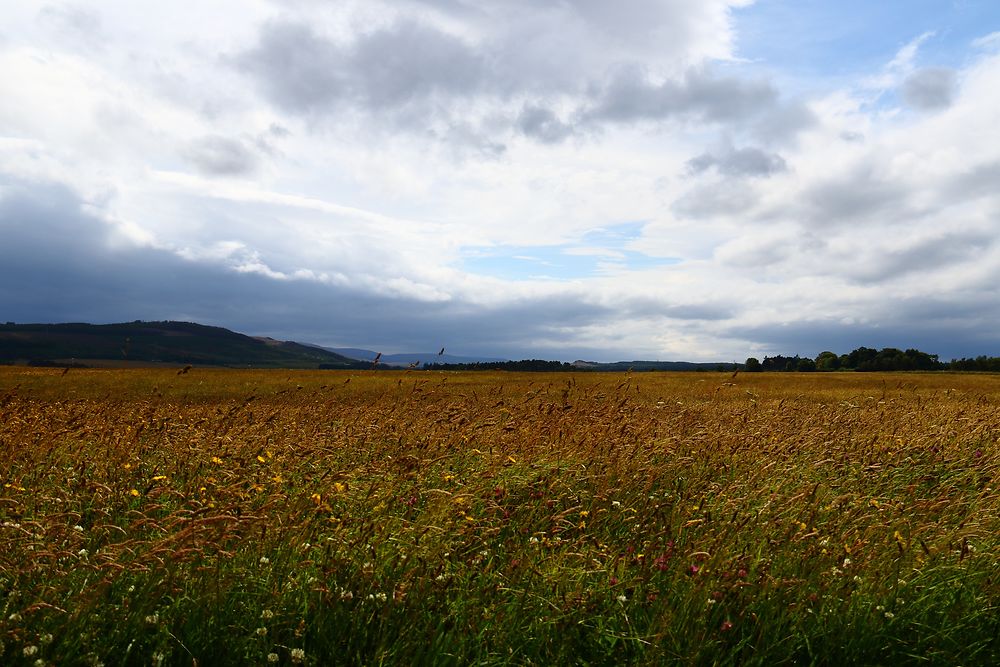 Champ de bataille de Culloden