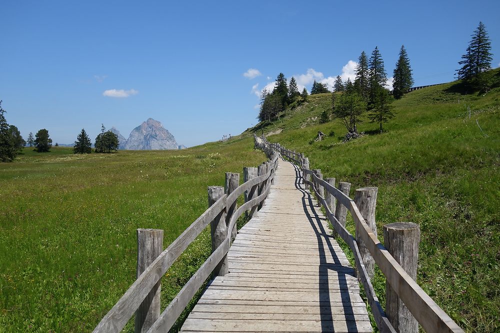 Passerelle sur le Teufböni