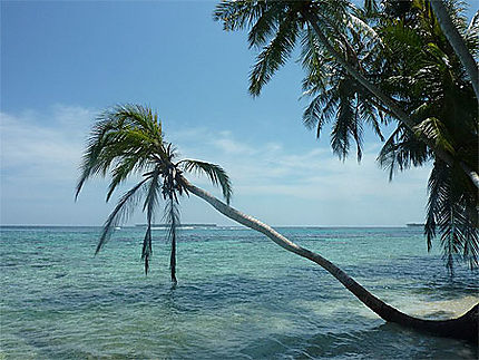 Pulau Tailana