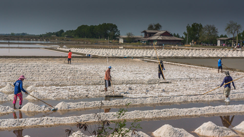 Salines dans la province de ratchaburi