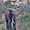 Eléphant au parc Kruger