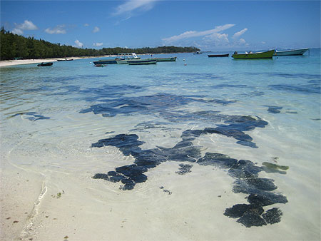 Les petits bateaux Les petits bateaux