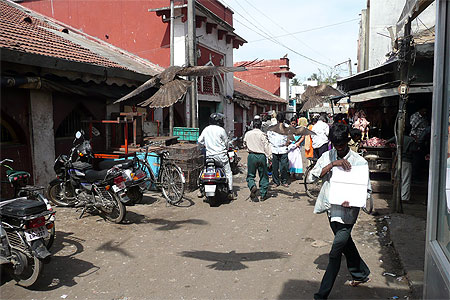 Des rapaces dans la ville, Bangalore Des rapaces dans la ville, Bangalore