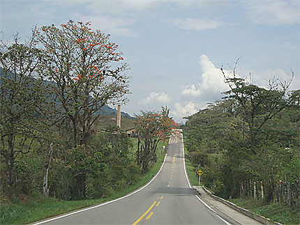 Route colombienne