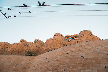 Les pigeons en rang pour admirer la citadelle