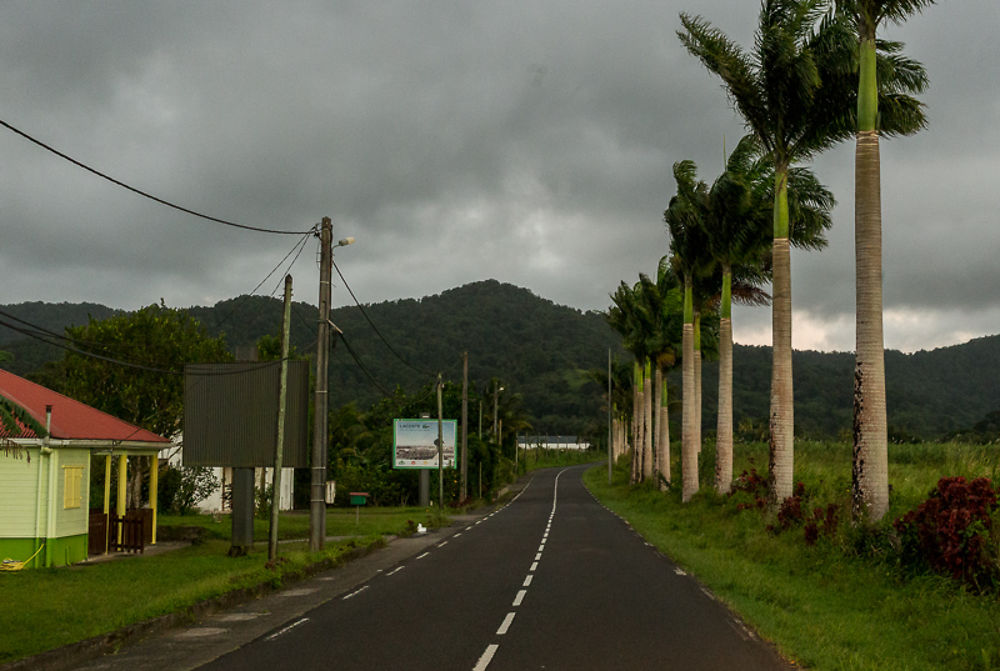 Vers le Morne Rouge