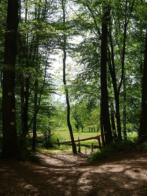 Ascension vers le Wasenbourg Ascension vers le Wasenbourg