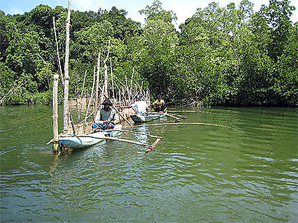 Pêcheurs des mangroves (sud)