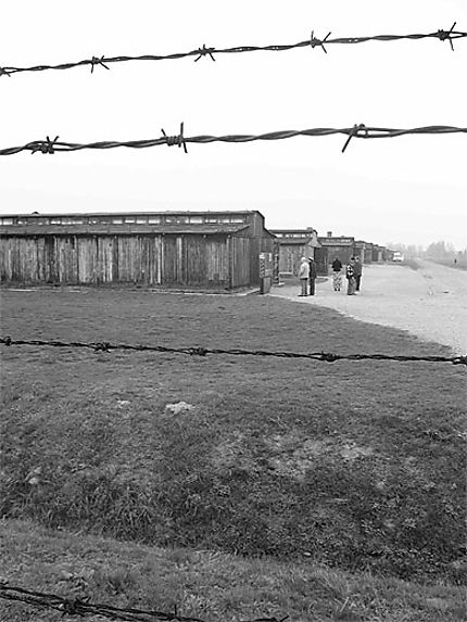 L'extermination à Birkenau