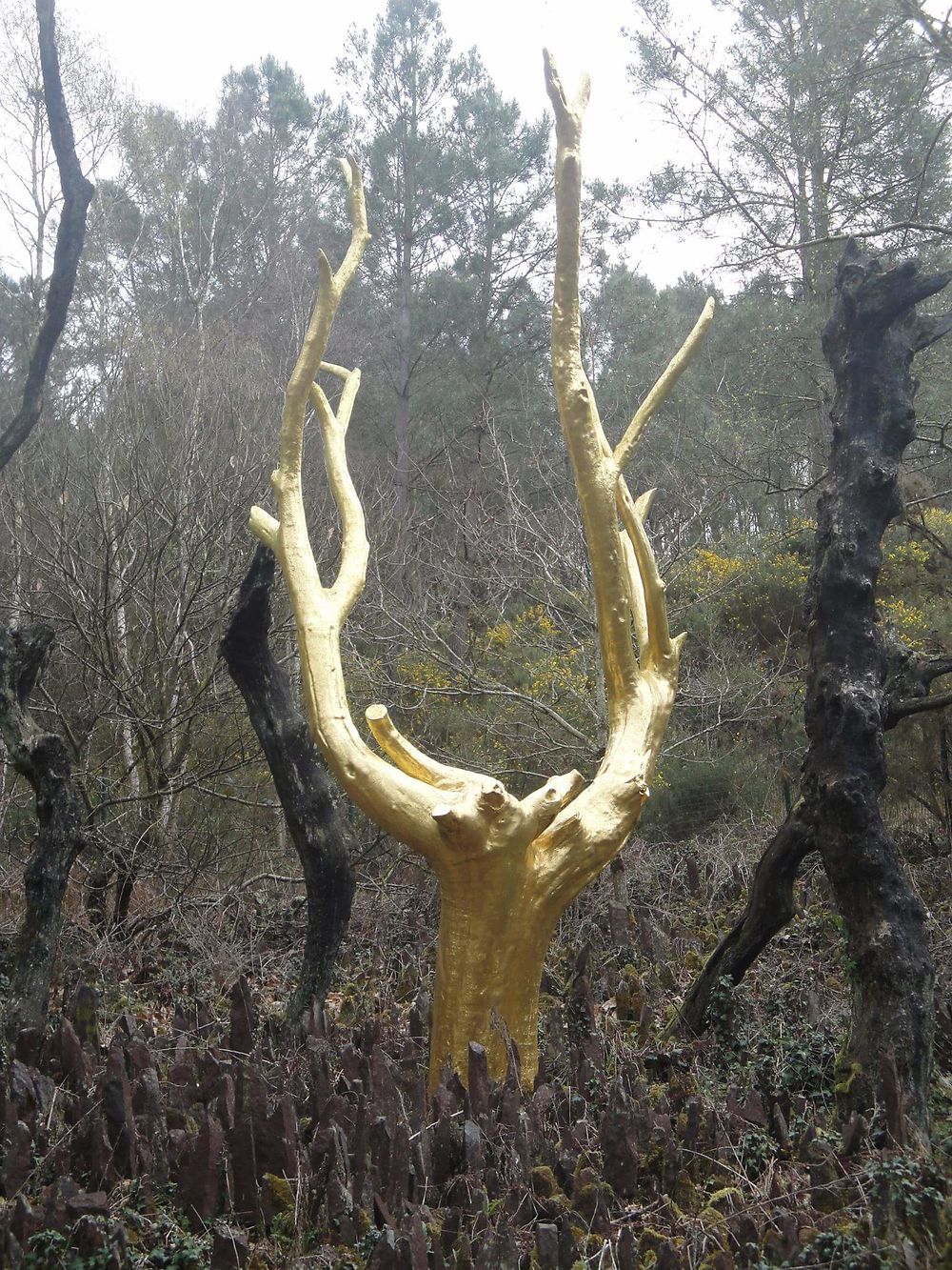 Arbre d'or de la forêt de Brocéliande 