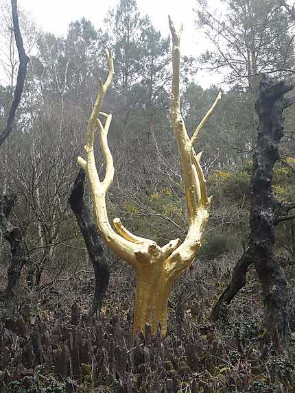 Arbre d'or de la forêt de Brocéliande 