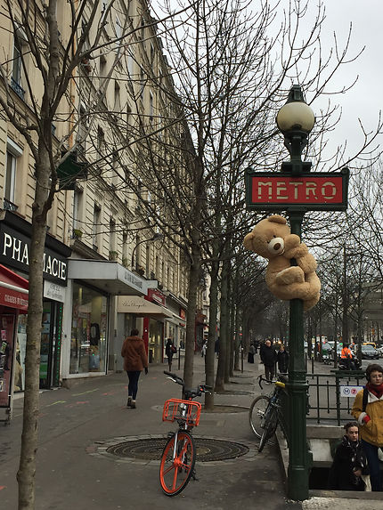 Les ours envahissent Paris