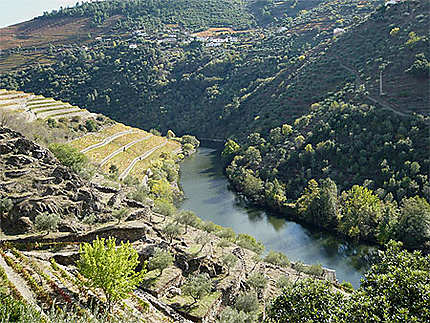 Vignoble du Douro